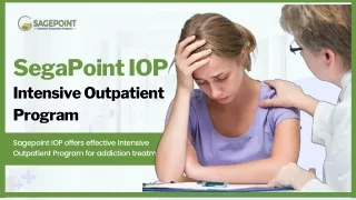 segapoint iop