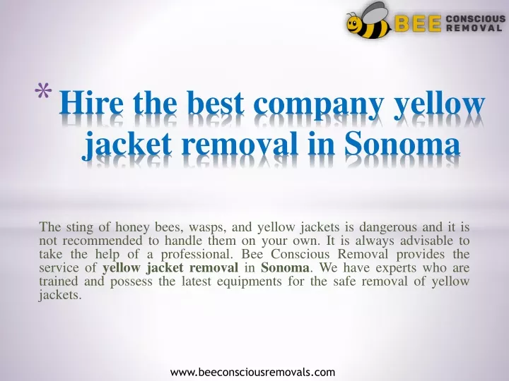 hire the best company yellow jacket removal in sonoma