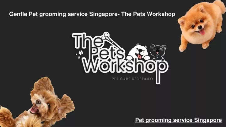 gentle pet grooming service singapore the pets workshop