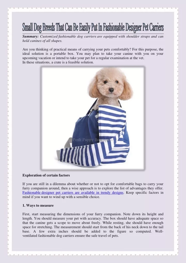 summary customized fashionable dog carriers