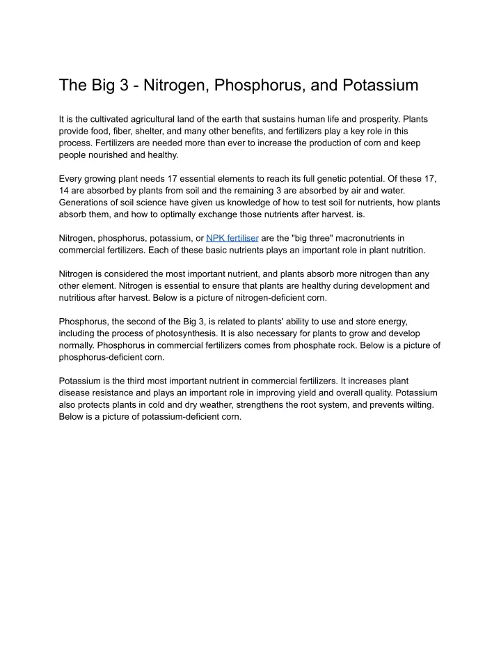 the big 3 nitrogen phosphorus and potassium