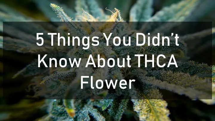 5 things you didn t know about thca flower