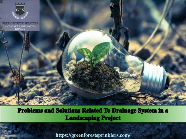 problems and solutions related to drainage system