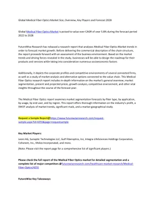 Medical Fiber Optics Market