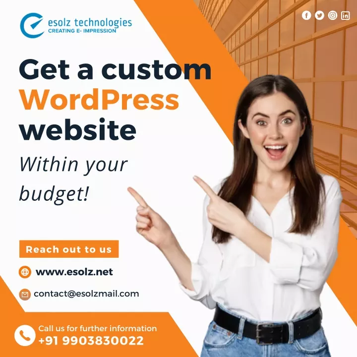 get a custom wordpress website within your budget