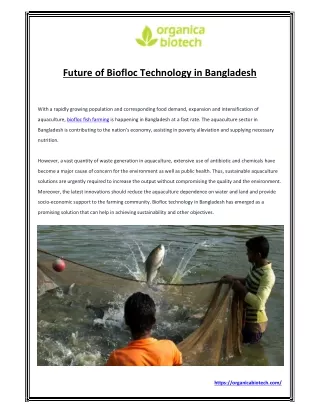 Biofloc Fish Farming - Biofloc Technology Microbial Formulation for Fish Farming