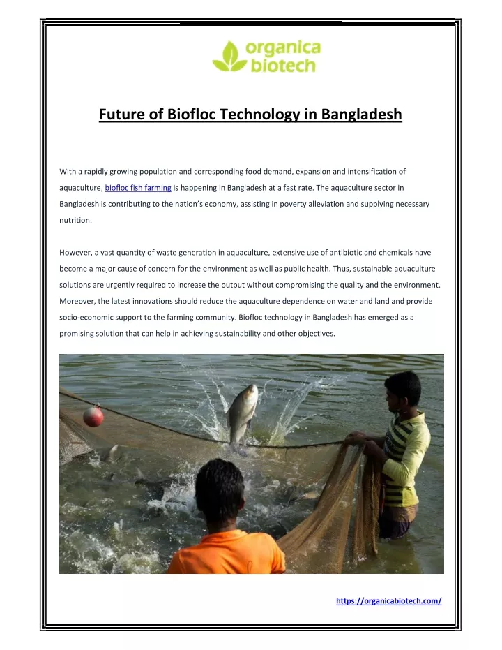 future of biofloc technology in bangladesh