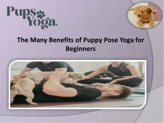 The Many Benefits of Puppy Pose Yoga for Beginners
