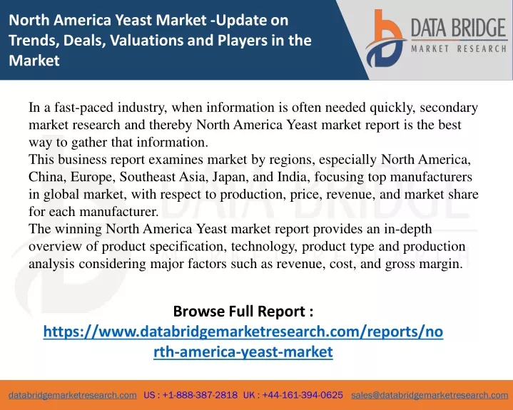 north america yeast market update on trends deals