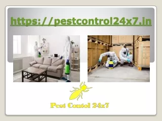 Termite Control in Gurgaon