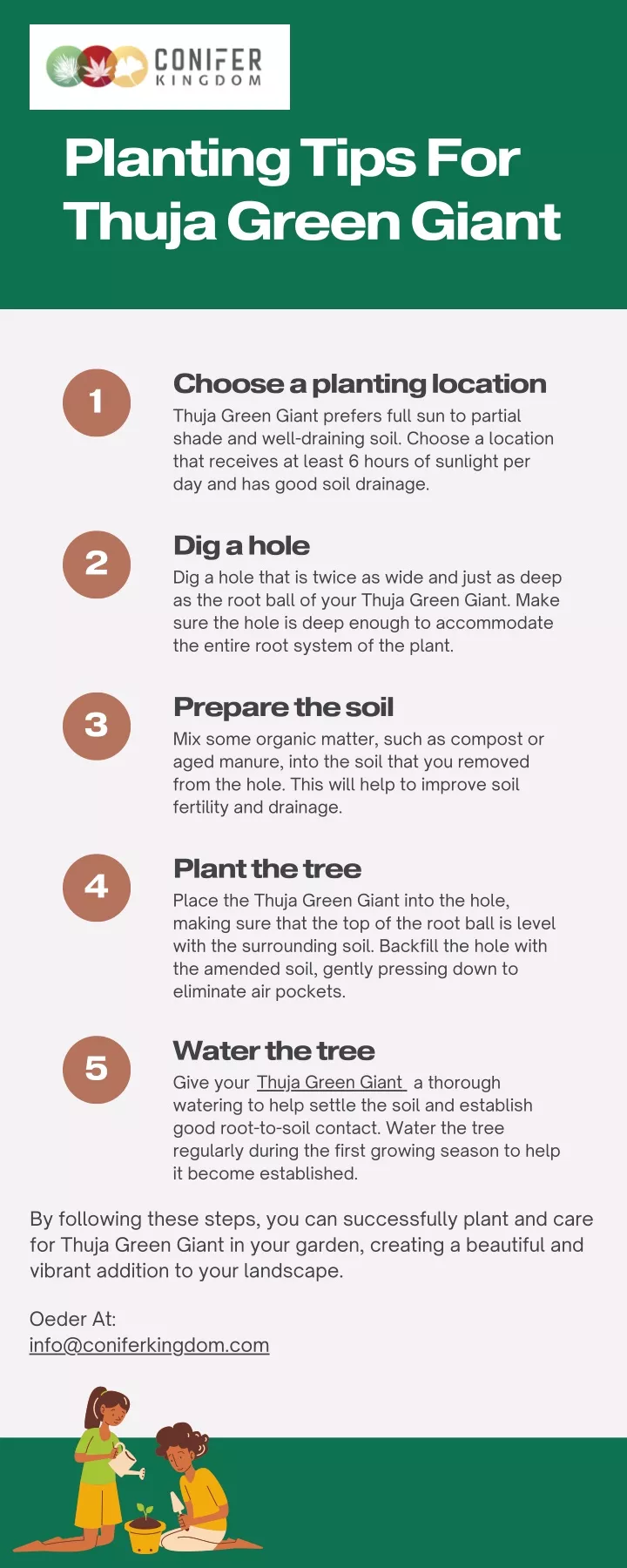 planting tips for thuja green giant