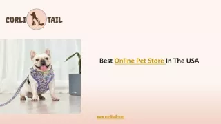 The Best Online Pet Store In The USA | Pet Accessories Store