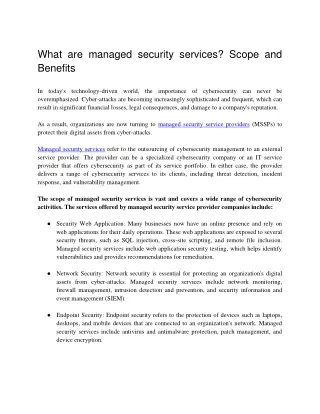 What are managed security services
