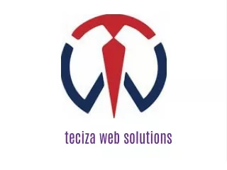 teciza web solutions