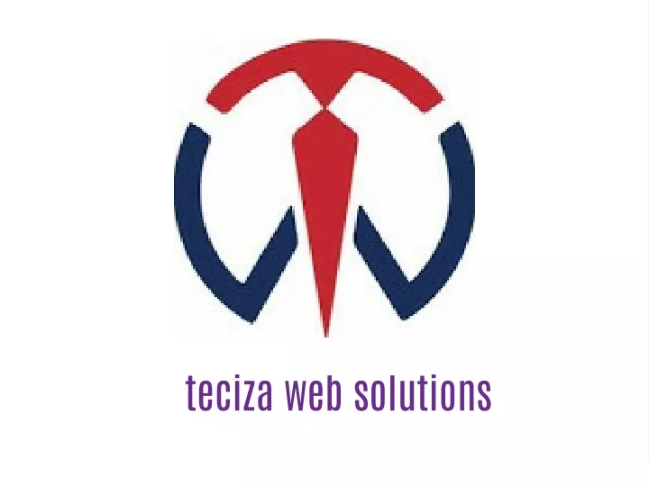 teciza web solutions