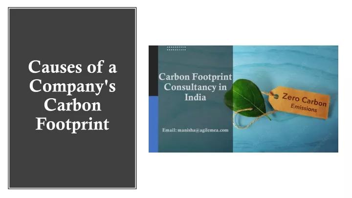 causes of a company s carbon footprint