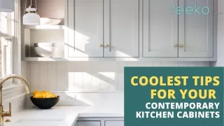Modular Kitchen Cabinets Trends 2023 - Reeko Cabinets