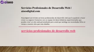 servicios profesionales de desarrollo