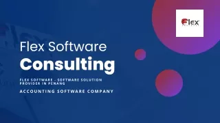 Flex Software Consulting Best Accounting Software Company in Malaysia