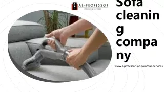 sofa cleaning company PDF