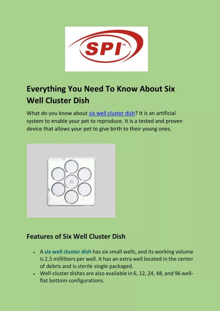 everything you need to know about six well
