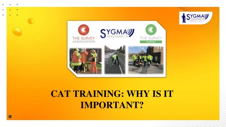 cat training why is it important