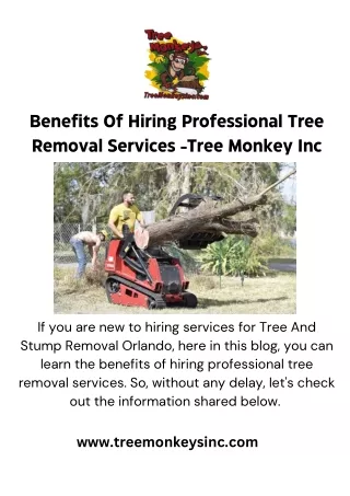 Benefits Of Hiring Professional Tree Removal Services -Tree Monkey Inc