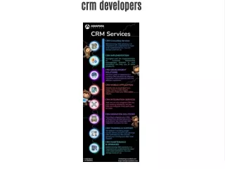 crm developers