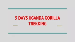 5 DAYS UGANDA GORILLA TREKKING