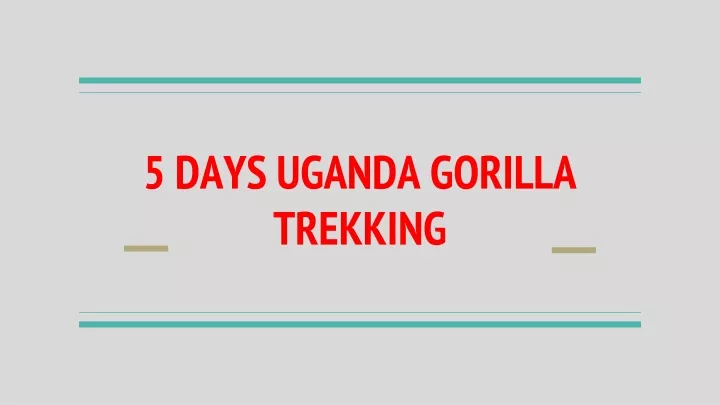 5 days uganda gorilla trekking