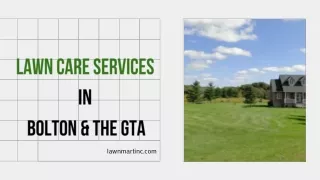 Best Lawn Care Service in Toronto & GTA in 2023