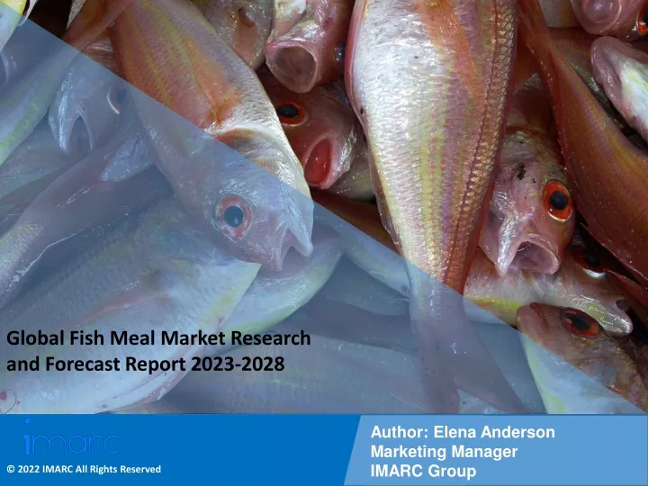 global fish meal market research and forecast