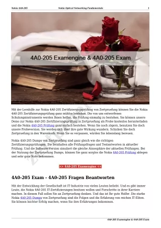 4A0-205 Examengine & 4A0-205 Exam