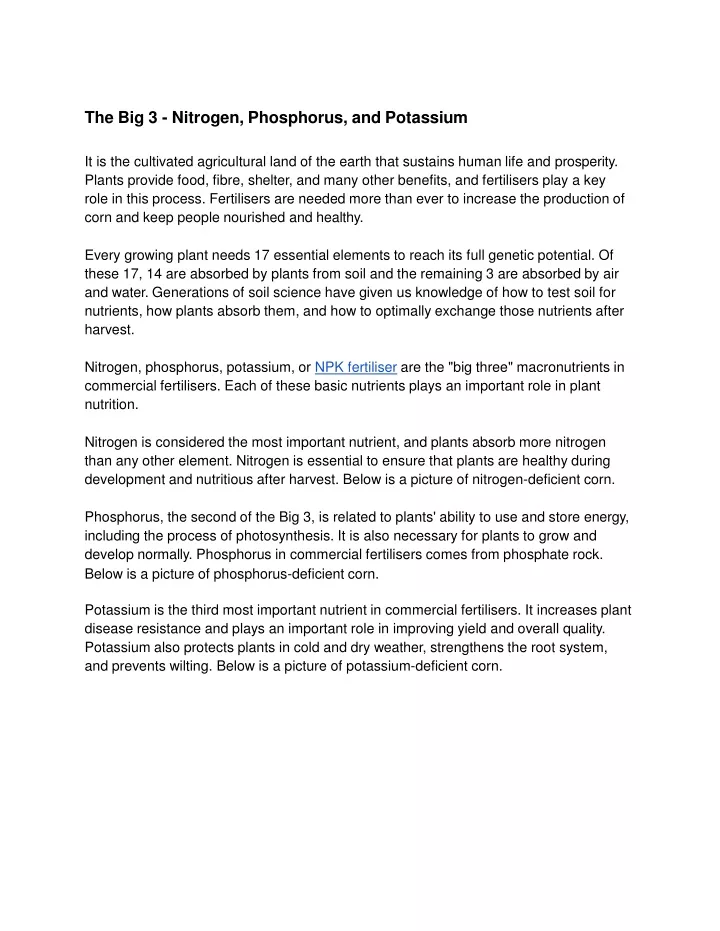 the big 3 nitrogen phosphorus and potassium