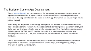 the basics of custom app development