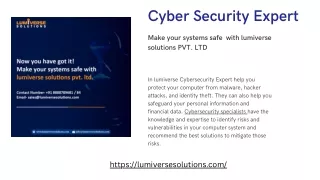 Cybersecurity expert