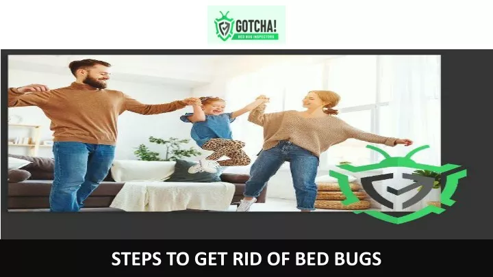 steps to get rid of bed bugs