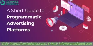 What Are Platforms For Programmatic Ads  IconixDigital