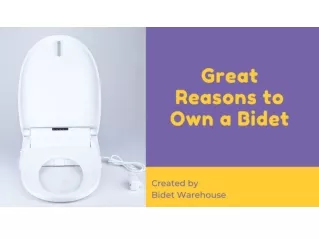 5 Great Reasons to Own a Bidet