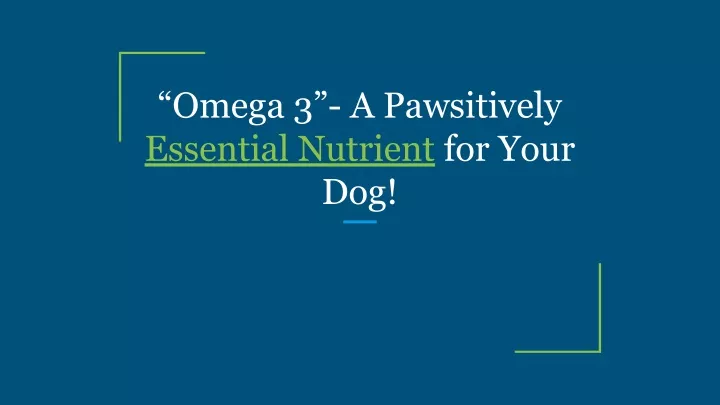 omega 3 a pawsitively essential nutrient for your