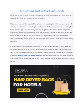 How to Choose the Best Hair Dryer Bags For Hotels