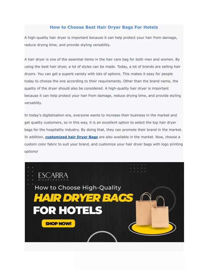 how to choose best hair dryer bags for hotels