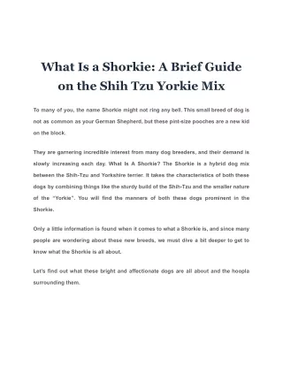 What Is a Shorkie A Brief Guide on the Shih Tzu Yorkie Mix