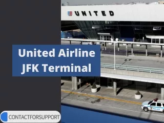 United Airline JFK Terminal