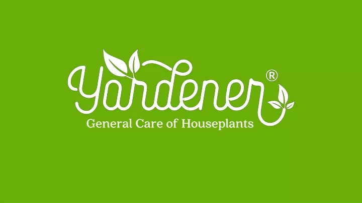 general care of houseplants