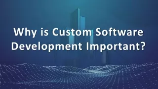 why is custom software development important