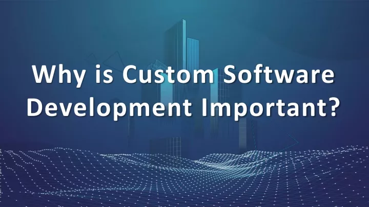 why is custom software development important