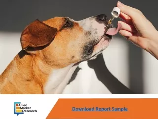 Surge in demand to push up Dog Supplement Market to reach $468.5 million by 2031