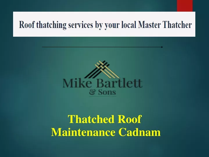 thatched roof maintenance cadnam