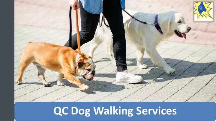 qc dog walking services